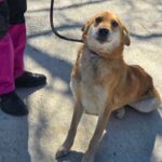 644400458 1318590983632046 4942350418205263413 n