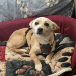 644513062 1317980920359719 171740598384447028 n