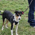 644547663 1318569923634152 832802492226738959 n