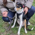 644560297 1318570273634117 6911277364411171828 n