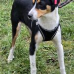 644565932 1318570046967473 7044031381387298107 n