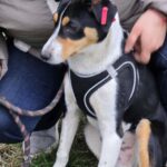 644686360 1318570343634110 8161004177700875548 n