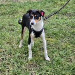 644964510 1318569996967478 828662737233642900 n