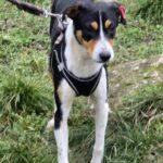 645197799 1318570380300773 2152096695260920736 n