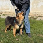 645703825 1317273317097146 5079129821889686270 n