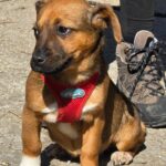 651730114 1332132045611273 3997357529058866341 n