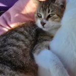 652282678 1331406112350533 6529938446090422149 n