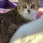 652471915 1331406045683873 357088738463332278 n