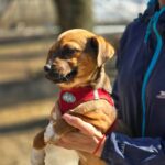 653020457 1332131602277984 7107283692737580631 n