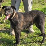 653414778 1332831482207996 1803648822275750275 n