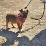 653712729 1332189932272151 5168288657662027166 n