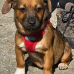 653958371 1332131432278001 6314673033593204309 n