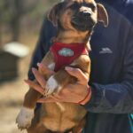 654197214 1332131488944662 7273153616064782206 n