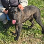 654571190 1332831652207979 3679068686823340008 n