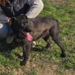 654672266 1332831532207991 4449953182416417816 n