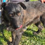 654787696 1332831595541318 7522587477529419372 n