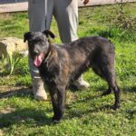 654855703 1332831442208000 8716741847841624031 n