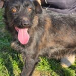 655575205 1332831395541338 8990092912249315015 n